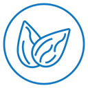 Almond icon
