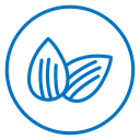 Almonds Color Outline icon