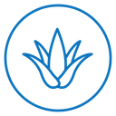 Aloe vera icon