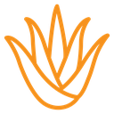 Aloe vera (2) icon