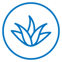 Aloe Vera Plant icon