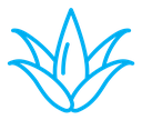 Aloe vera icon