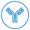Antibody icon