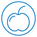 Apple icon
