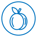 Apricot icon