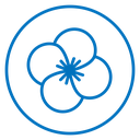 Araliya flower icon