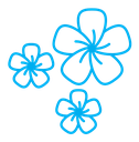 Araliya flower icon