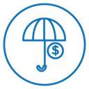 Assets protection icon