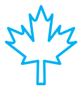 Autumn leaf canadian icon