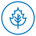Autumn Leaf icon