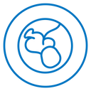 Baby in stomach icon