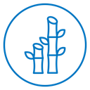 Bamboo icon