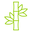 Bamboo plant icon