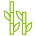 Bamboo Stalks Leaves Color Outline icon