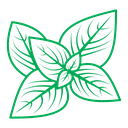 Basil icon
