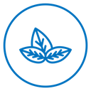 Basil icon
