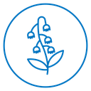 Bellflower Plant icon