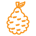 Bergamot icon