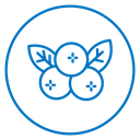 Berry Blossom Branch icon