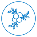 Berry Branch icon