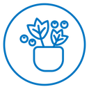 Berry shrubs and vines icon