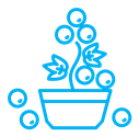 Berry shrubs and vines icon