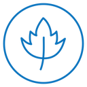 Birch leaf 2 icon