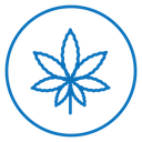 Birch leaf icon
