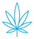 Birch leaf icon (2) icon