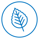 Birch leaf 2 icon