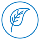 Birch leaf icon
