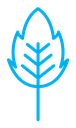 Birch leaf icon