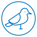 Bird icon