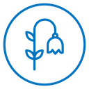 Bluebell Flower icon