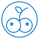 Blueberries icon