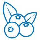 Blueberry icon