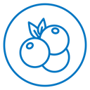 Blueberry 2 icon