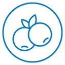 Blueberry icon