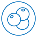 Blueberry 2 icon