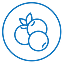 Blueberry 3 icon
