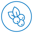 Blueberry icon