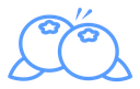 Blueberry icon