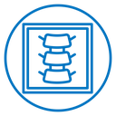 Body spine scan icon
