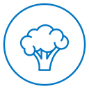 Broccoli 3 icon