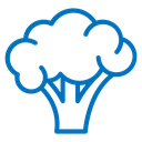 Broccoli 3 icon