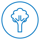 Broccoli icon