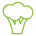 Broccoli icon