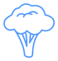 Broccoli icon