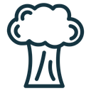 Broccoli 2 icon