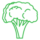 Broccoli (2) icon